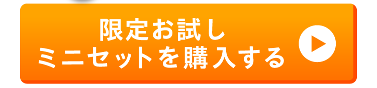 限定お試しミニセットを購入する