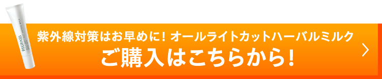 限定お試しミニセットを購入