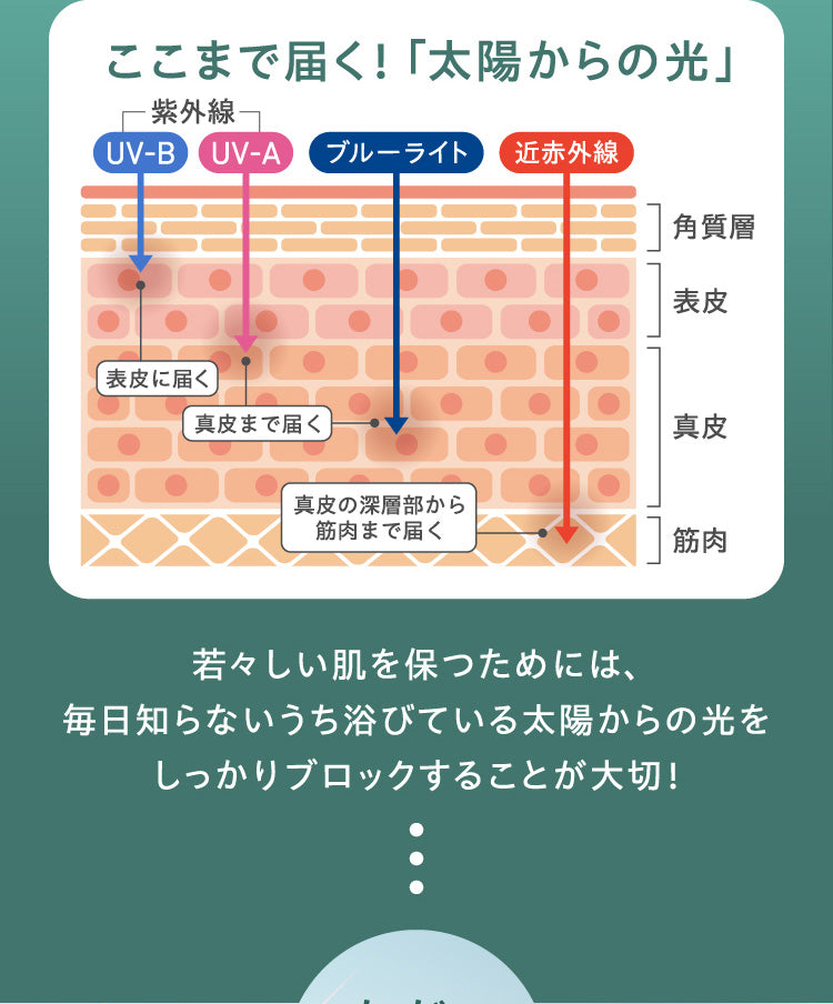 ここまで届く！「太陽からの光」若々しい肌を保つためには、毎日知らないうち浴びている太陽からの光をしっかりブロックすることが大切！