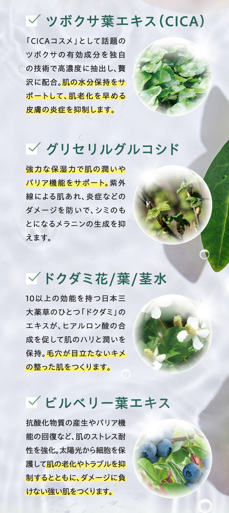成分：ツボクサ葉エキス（CICA）、グリセリルグルコシド、ドクダミ花/葉/茎水、ビルベリー葉エキス