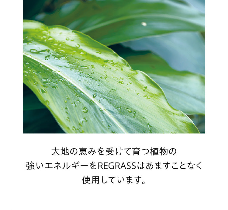 大地の恵みを受けて育つ植物の強いエネルギーをREGRASSはあますことなく使用しています。