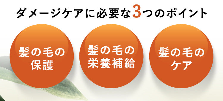 ダメージケアに必要な3つのポイント。1.髪の毛の保護、2.髪の毛の栄養補給、3.髪の毛のケア