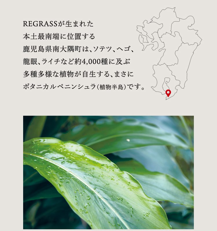 REGRASSが生まれた本土最南端に位置する鹿児島県南大隅町は、ソテツ、ヘゴ、龍眼、ライチなど約4,000種に及ぶ多種多様な植物が自生する、まさにボタニカルペニンシュラ（植物半島）です。